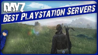 The best PC servers you NEED to play on DayZ [upl. by Rebmik]