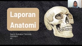 Anatomi Mandibula Regio Antebrachii Manus Articulatio Genu dan Os Femur [upl. by Kcirddor]