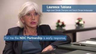 Laurence Tubiana Climate Champion on the NDC Partnership [upl. by Okiron756]