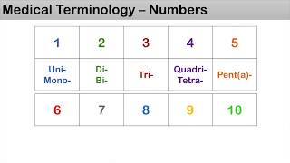 Medical Terminology  The Basics Lesson 12  Numbers [upl. by Streeto539]