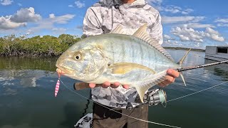 SO MANY TREVALLY Micro Jigging in shallow water [upl. by Aloysia542]