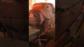 Why Yaganti Nandi Is Growing 🤯🤯  Mysterious growing Nandi of Yaganti temple nandi shivbhakti [upl. by Ahsiadal]