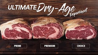 Which STEAK Grade is best to DRYAGE  GugaFoods [upl. by Meter]