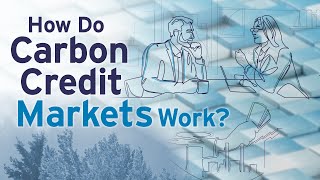 How Do Carbon Credit Markets Work [upl. by Nirrat]