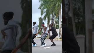 ASHAWO by Fireboy Official Dance Video [upl. by Yrelbmik]