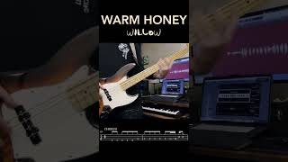 Willow  Warm Honey Bass Cover shorts [upl. by Chuah]