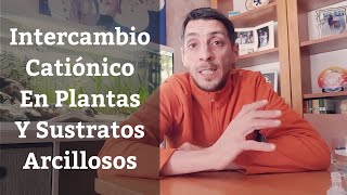 🔵 Intercambio Catiónico En Plantas Y Sustratos Para Acuarios Plantados Acuarios MB [upl. by Celisse]