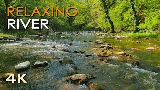 4K Relaxing River  Ultra HD Nature Video  Water Stream amp Birdsong Sounds  SleepStudyMeditate [upl. by Acirne174]