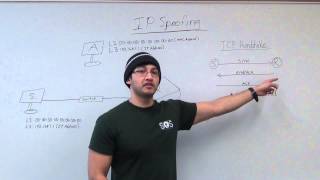 Module 7 What is IP Spoofing [upl. by Niels]