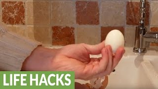 How to peel a hardboiled egg in only 5 seconds [upl. by Ynattir]