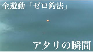 全遊動「ゼロ釣法」アタリの瞬間【フカセ釣り チヌ釣り 黒鯛釣り】 [upl. by Atirec]