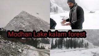 kalam Forest [upl. by Tera]