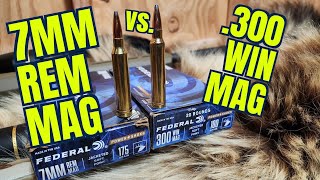 7mm Remington Magnum vs 300 Winchester Magnum Federal Powershok [upl. by Aitnwahs453]