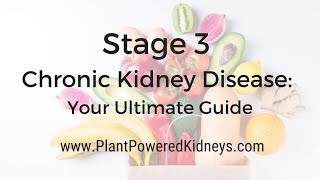 Stage 3 Kidney Disease A Crash Course on What to Know [upl. by Ecnaret]