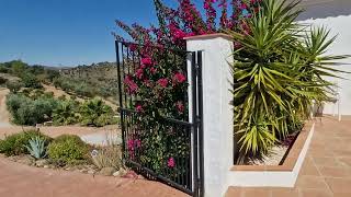 Buying a holiday home in Andalucia Cortijo Los Almendros at Riogordo FOR SALE at 899000€ [upl. by Natassia245]