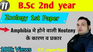 Amphibia मे होने वाली Neoteny के कारण Bsc 2nd year  Zoology 1st paper [upl. by Sherl]