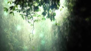 Rainy Dream  video designed by dreamsceneorg [upl. by Adnilre]