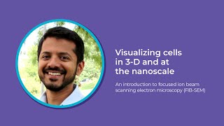 Introduction to focused ion beam scanning electron microscopy FIBSEM [upl. by Eicrad]