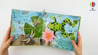 Usborne PopUp Books  PopUp Nature [upl. by Adnuhsal]