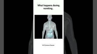 What happens during vomiting biology shorts [upl. by Billat]