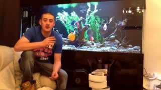 How to pick a aquarium canister filter [upl. by Jarrad378]