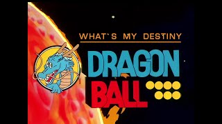 WHATS MY DESTINY DRAGON BALL Dragon Ball Z  videosigla full  GIORGIO VANNI [upl. by Tisman]