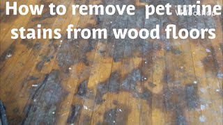 HOW TO REMOVE PET URINEWATER DAMAGE STAINS FROM WOOD FLOORS [upl. by Anitsirhcairam]