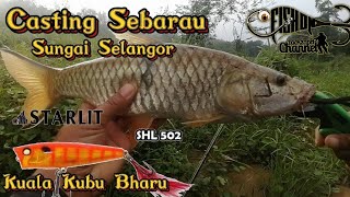 CASTING SEBARAU SUNGAI SELANGOR  Kuala Kubu Bharu [upl. by Nickerson]