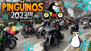 LOCURA EN PINGÜINOS 2023 LA CONCENTRACIÓN DE MÁS DE 40000 MOTEROS 🥶 [upl. by Yajiv62]