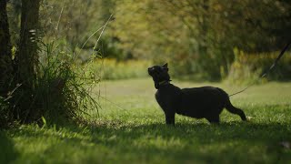 Catskills  Canon C70  Helios 442 [upl. by Laks654]