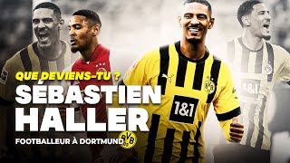 QUE DEVIENSTU SÉBASTIEN HALLER [upl. by Electra]