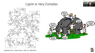 Lignin from idea to market  possibilities and challenges [upl. by Nohcim]