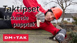 Taktipset  Läckande papptak [upl. by Naegem550]