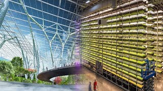 China Innovation The Most Advanced Indoor Farming In China [upl. by Ahsiniuq]