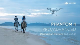 DJI P4Pro Plus Firmware Update [upl. by Tamsky868]