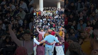 Chandigarh University  Team Shaabaashe  Natti at CU Fest 2024 Flashmob natti himachalidance cu [upl. by Norbel453]