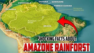 Unveiling Amazon Facts About the Mighty Rainforest [upl. by Lakin592]