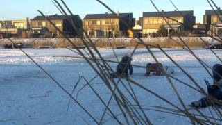 Lekker schaatsen op IJburg [upl. by Priscella]