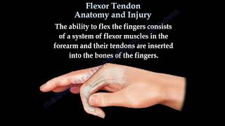 Flexor Tendon Injuries diagnosis and treatment [upl. by Jessie]