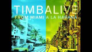 Timbalive  Ave Maria Que Calor [upl. by Melinda]