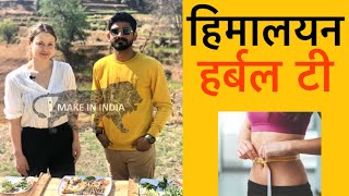 हर्बल चाय कैसे बनाये herbal green tea benefits recipe जड़ी बूटी चाय के फायदे ayurvedic jadi buti tea [upl. by Gnirol]