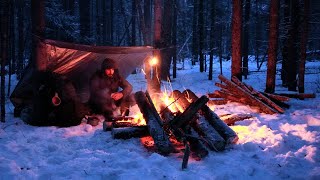 Surviving the Cold  Winter Camping in Snow [upl. by Atinnor]