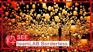 Mori Building DIGITAL ART MUSEUM teamLAB Borderless [upl. by Kincaid]