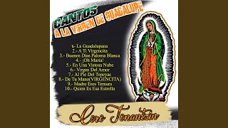 La Guadalupana [upl. by Ibrad807]