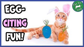 Easy Easter Egg Cat Toy [upl. by Tsan]