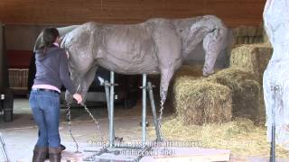 Romsey War Horse memorial sculpture  at the starting block [upl. by Morel]