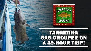 39 Hour Overnight Fishing Trip Targetting the Gag Grouper [upl. by Elmo]