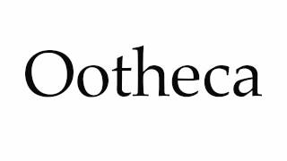 How to Pronounce Ootheca [upl. by Rosemary]