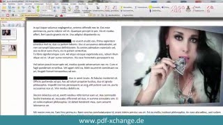 PDFXChange Editor  Zensur Text schwärzen [upl. by Roel]