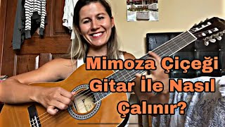 Gitar İle Mimoza Çiçeği Nasıl Çalınır  🎸 [upl. by Damicke]